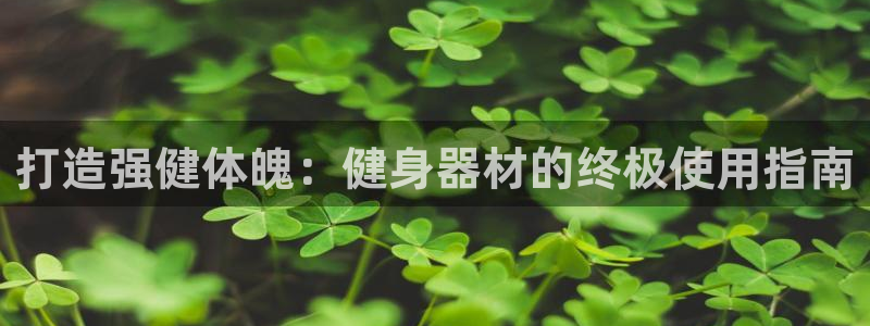 龙8国际官方网址下载