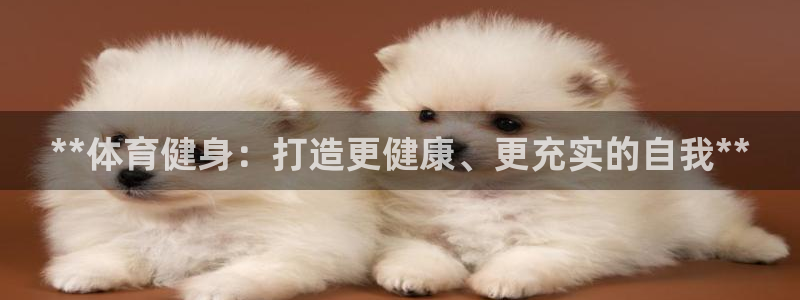 龙8官网游戏