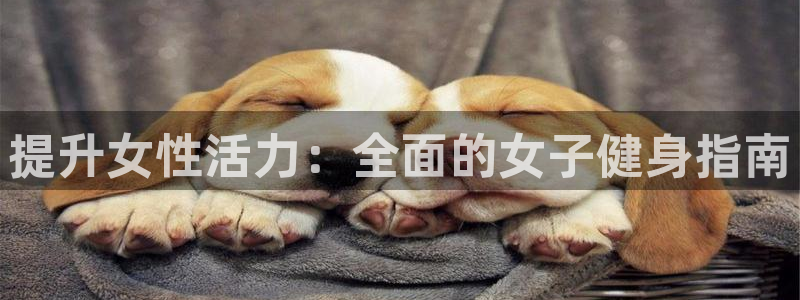 龙8国际官网多少