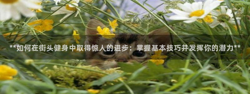 龙8国际官方网