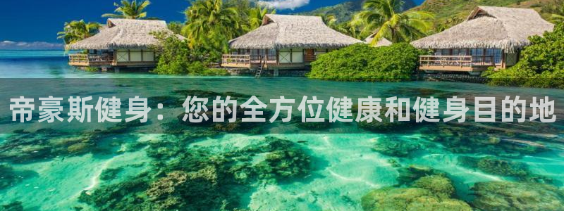 龙八国际娱