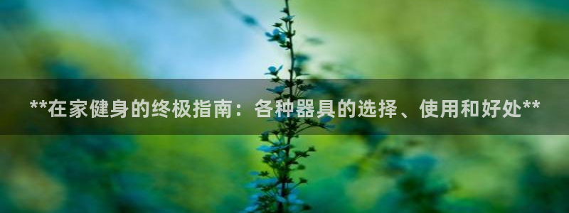龙8国际pt网址官方