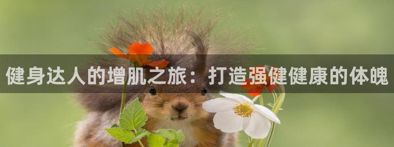 龙八国际娱乐平台网站