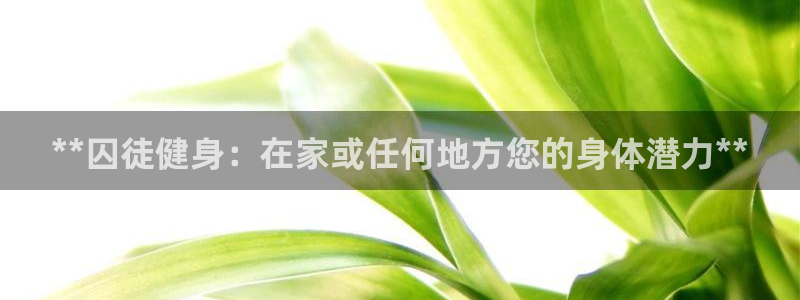 龙8国际中国