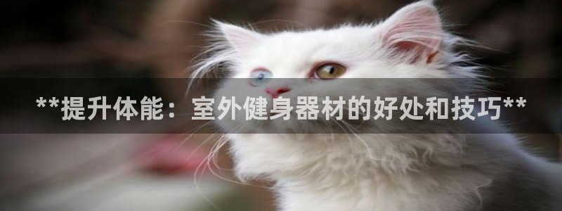 龙8游戏平台官方