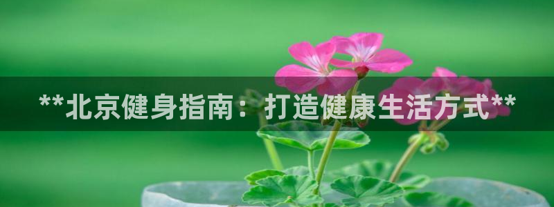龙8国际平台