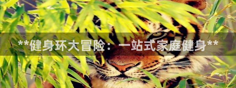 龙8棋牌官网