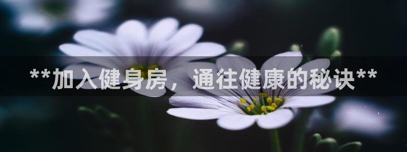 龙8游戏官方网站s