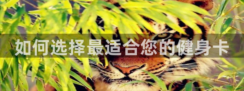 龙八国际2018最新官网