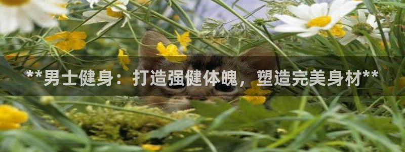 龙8老虎机网络游戏