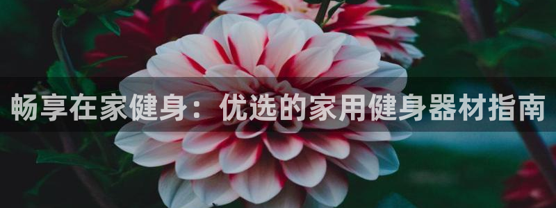 龙8国际客服
