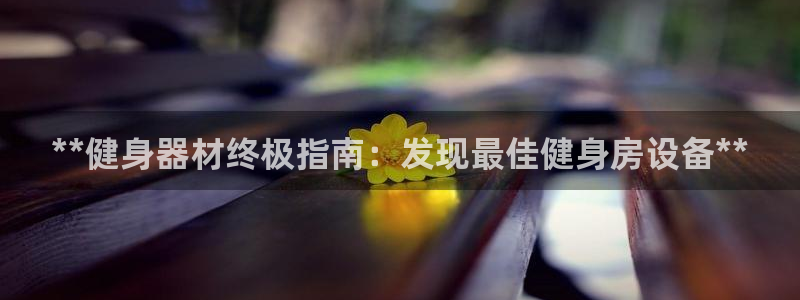 下载龙8国际