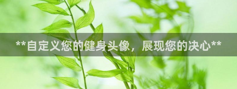 龙8国际下载