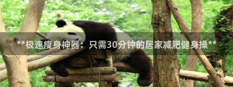 龙8国际游资如何