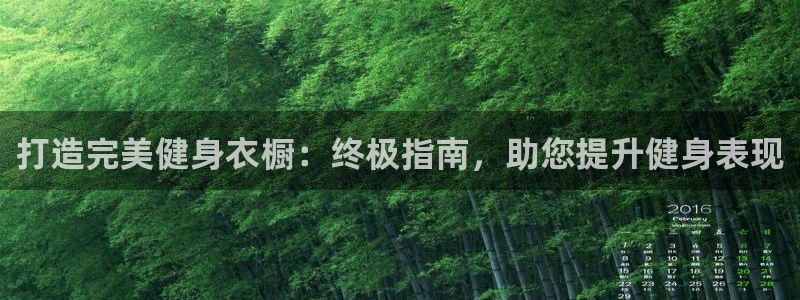 龙8国际玩家