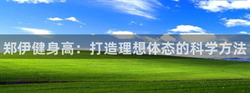 龙八国际唯一官网