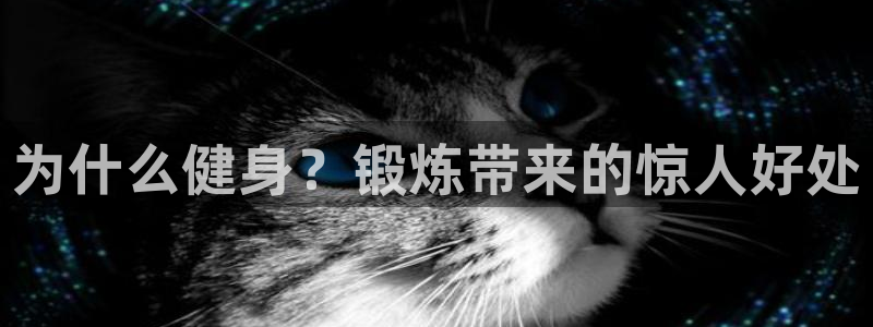 龙8-龙国际-long8-龙8游戏