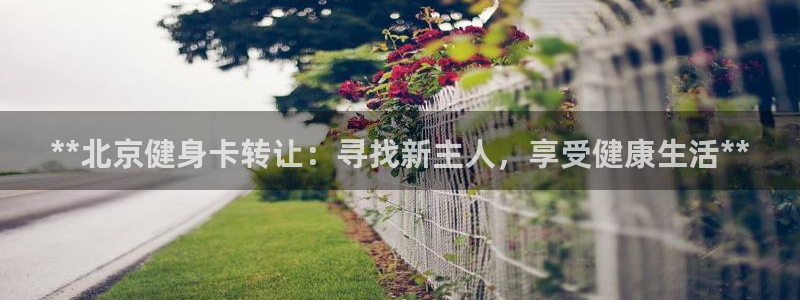 龙八国际唯一官网