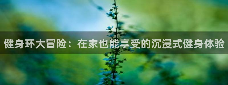 龙8国际安卓版