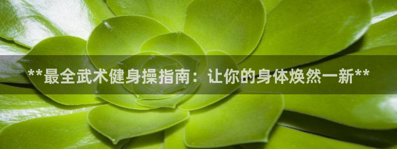 龙8国际是什么