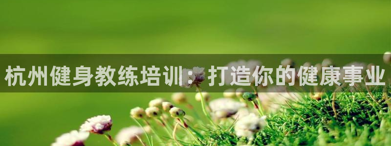 龙 八国际