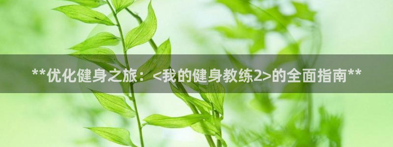 龙8国际手机登