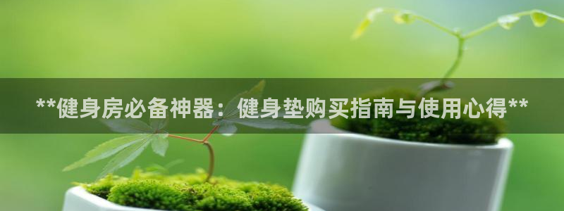龙8国际手机官网下载