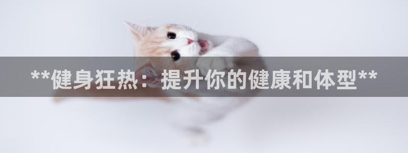 龙8国际官网版玩法