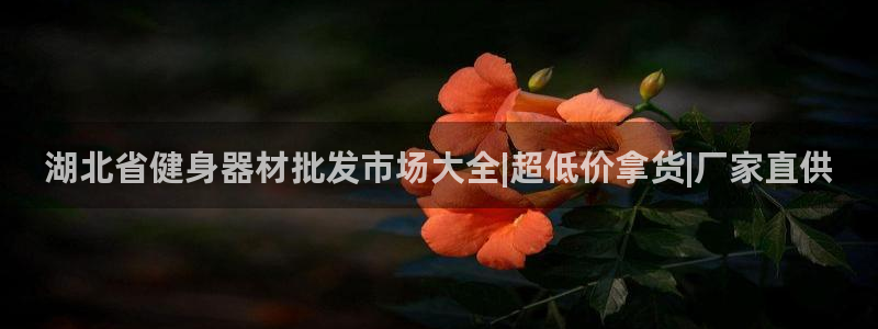 龙8国际手机游戏官网