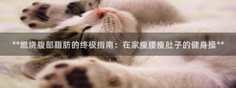 龙八国际娱乐官方网站