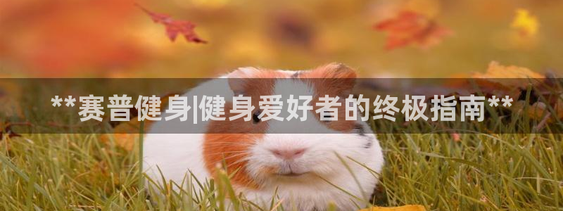 龙8国际安卓版版