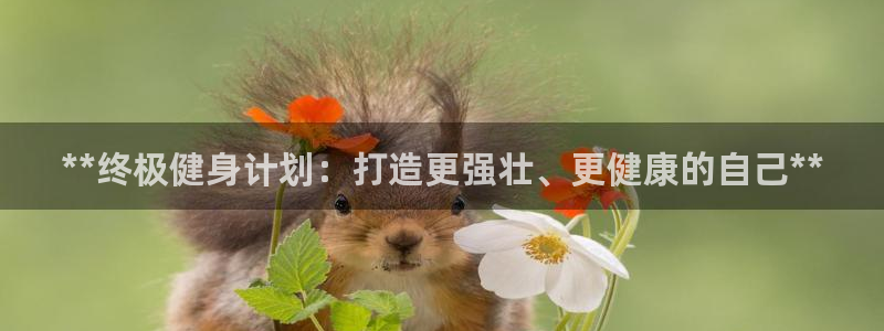 龙8国际官方网站