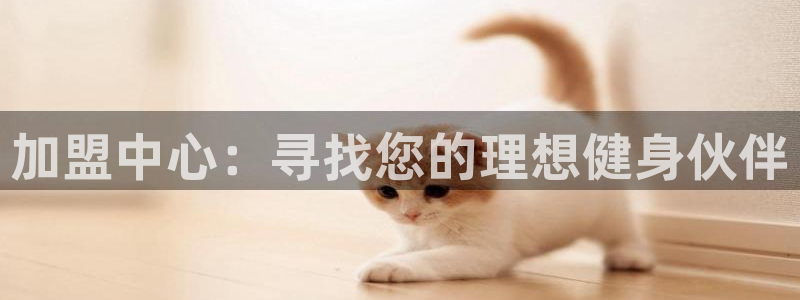 龙8国际pt官网