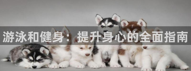 龙8国际游戏官网