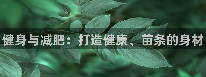 龙8国际是什么平台