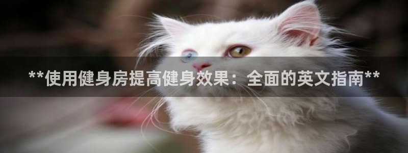 龙8国际网站