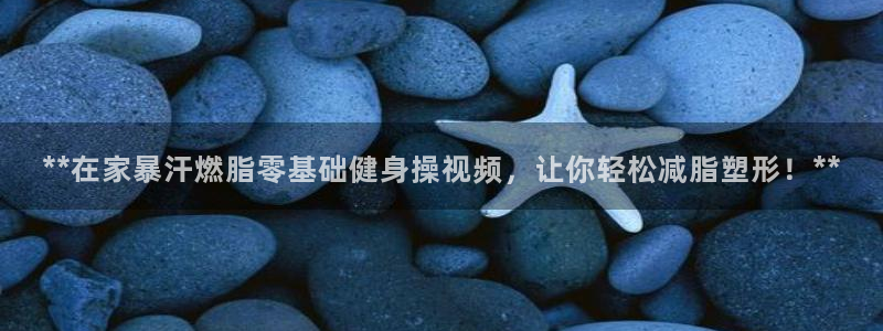 国际龙8官方网站