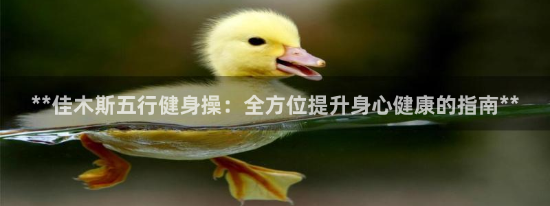 龙8国际ing