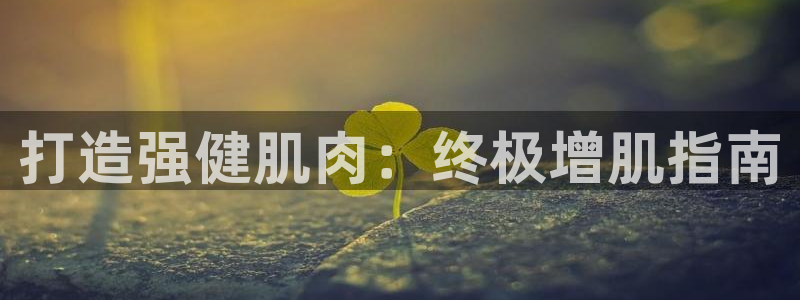 龙8国际app下载客户端