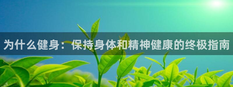 龙8国际的官方网站