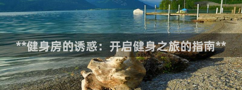 龙8国际城