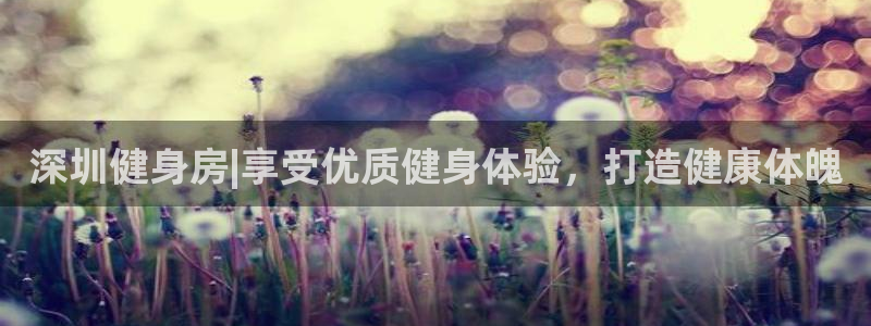 龙8游戏网站