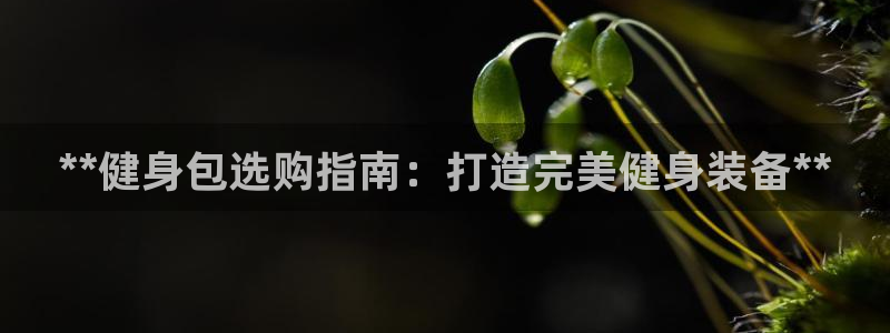 龙8国际手机登