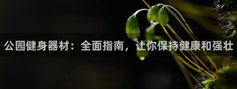 龙八国际app下载客户端