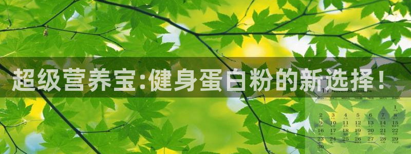 龙8老虎机网络游戏