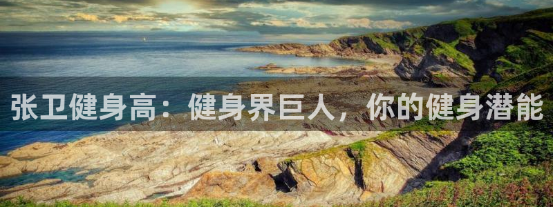 龙八国际娱乐在线游戏