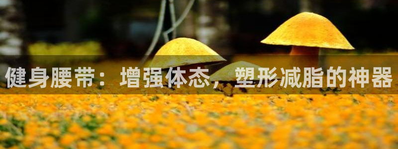 龙8国际头号玩家下载