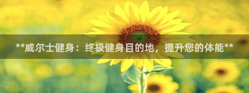 龙8国际电子游戏