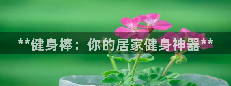 龙 八国际