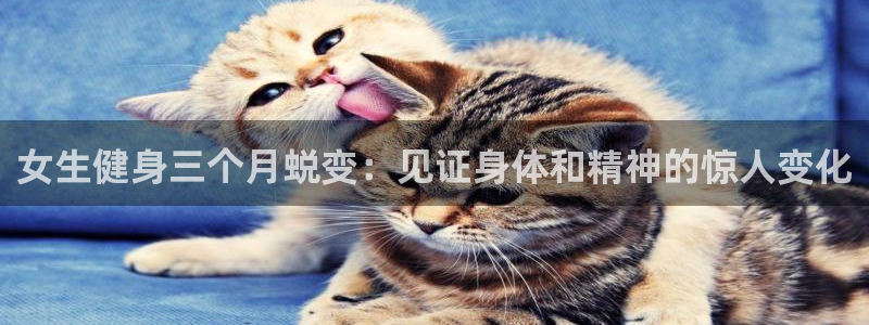 龙8国际app下载客户端